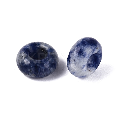 Natural Blue Spot Jasper European Beads G-Q602-04L-1
