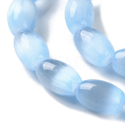 Macaron Color Natural Selenite Beads Strands G-B102-A01-07-1