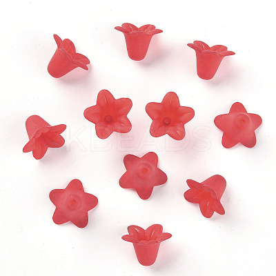 Transparent Acrylic Beads PLF018-11-1