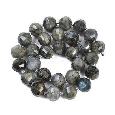 Natural Labradorite Beads Strands G-G182-B02-07-1