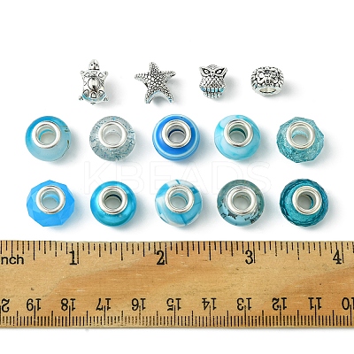 DIY Tibetan Style Alloy & Resin European Beads Making Finding Kits DIY-FS0006-78F-1