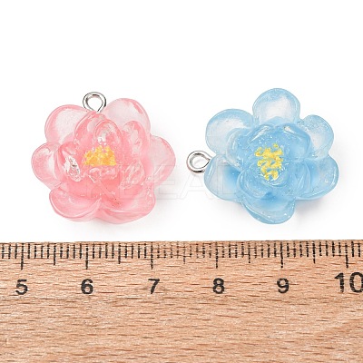 Transparent Resin Pendants RE-CBA5F64-02-1