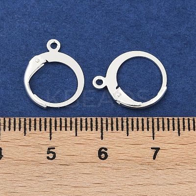 316L Surgical Stainless Steel Leverback Earring Findings STAS-F075-38S-1