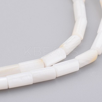 Natural Shell Bead Strands BSHE-P016-05-1