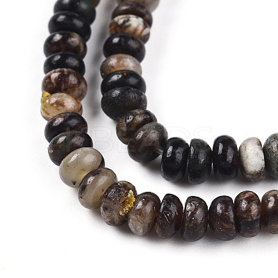 Natural Biotite Beads Strands G-T140-69B-1