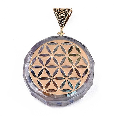 Transparent Epoxy Resin Alchemy Pendants RESI-T049-15-1