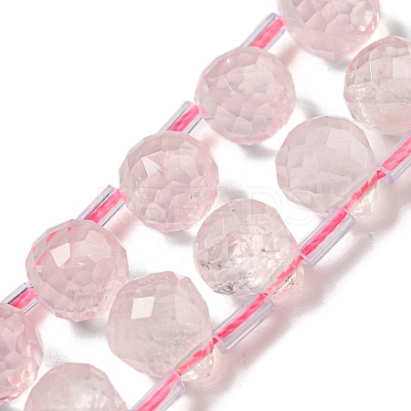 Natural Rose Quartz Beads Strands G-H297-B08-02-1