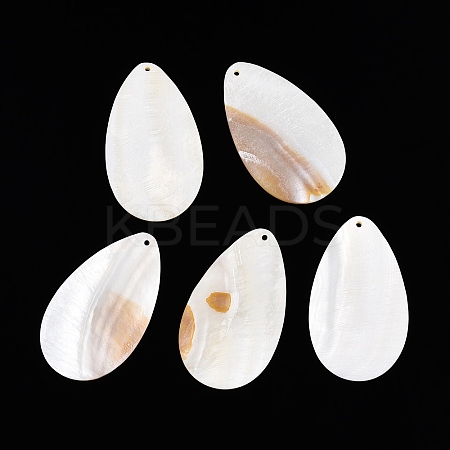 Natural Freshwater Shell Big Pendants SHEL-T020-02-1