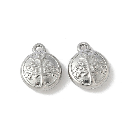 304 Stainless Steel Charms STAS-F320-02B-P-1
