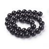 Natural Obsidian Beads Strands LS-G-G099-12mm-24-2