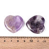 Natural Amethyst Worry Stones G-A213-09D-3