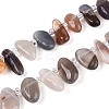 Natural Botswana Agate Beads Strands G-Z091-A30-4