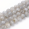 Natural Labradorite Beads Strands X-G-Q961-05-6mm-1