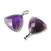 Natural Amethyst Pendants G-L614-D04-P01-2
