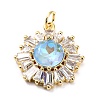 Brass Micro Pave Cubic Zirconia Pendants ZIRC-O044-21B-G-2