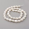 Natural Cultured Freshwater Pearl Beads Strands PEAR-G007-22-2