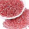 6/0 Baking Paint Transparent Fringe Glass Seed Beads X1-SEED-N006-06F-1