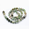 Natural Chrysoprase Beads Strands G-F523-34-10mm-2