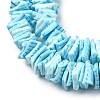 Natural Sea Shell Beads Strands BSHE-K012-08C-6