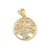Brass Micro Pave Cubic Zirconia Pendants KK-S337-06G-C-1