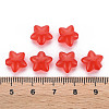 Transparent Acrylic Beads LS-MACR-S373-26E-04-4