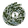 Transparent Crackle Baking Paint Glass Beads Strands DGLA-T003-01B-M-5