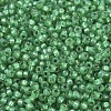 MIYUKI Round Rocailles Beads SEED-G007-RR0646-2