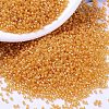 MIYUKI Delica Beads SEED-X0054-DB2045-1
