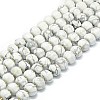 Natural Howlite Beads Strands G-P573-B02-01-2