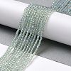 Electroplate Transparent Glass Beads Strands GLAA-H021-01A-FR07-3