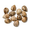 Natural Picture Jasper Cabochons G-Q173-02B-13-1