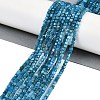 Natural Apatite Beads Strands G-P553-E03-02-6