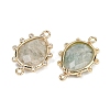 Natural Amazonite Faceted Connector Charms G-K347-07G-02-2
