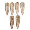 Natural Fossil Coral Pendants G-B187-01C-07-1