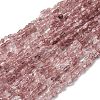 Natural Strawberry Quartz Beads Strands G-I389-A28-2
