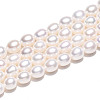 Natural Cultured Freshwater Pearl Beads Strands PEAR-N012-07Z-01-5