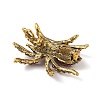 Holloween Spider Alloy Rhinestone Brooches JEWB-S023-02C-2