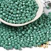 Baking Paint Glass Seed Beads SEED-C004-01I-1