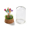 Natural Shell Chips Money Tree in Dome Glass Bell Jars with Wood Base Display Decorations DJEW-K030-02J-3
