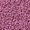 MIYUKI Round Rocailles Beads X-SEED-G007-RR0645-3