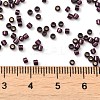 Glass Seed Beads X-SEED-S042-04B-30-4