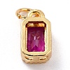 Real 18K Gold Plated Brass Inlaid Cubic Zirconia Charms ZIRC-L100-075G-04-3