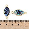 Brass Pave Natural Paua Shell Connector Charms KK-M299-01C-G-3