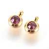 304 Stainless Steel Rhinestone Charms STAS-P237-10G-15-1