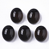 Translucent Glass Cabochons X-GLAA-T023-02B-2