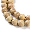 Natural Rainbow Alashan Agate Beads Strands G-NH0022-A06-02-4