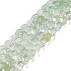 Watermelon Stone Glass Beads Strands G-K362-F01-01-1