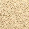 TOHO 11/0 Round Beads SEED-XTR11-0123-2