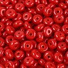 Opaque Colours Glass Seed Beads SEED-Q042-01A-D05-3