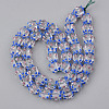 Handmade Lampwork Beads Strands LAMP-N021-007B-2